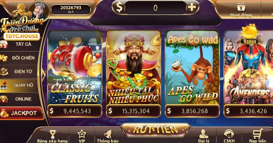 Đăng nhập và quản lý hồ sơ k9cc web